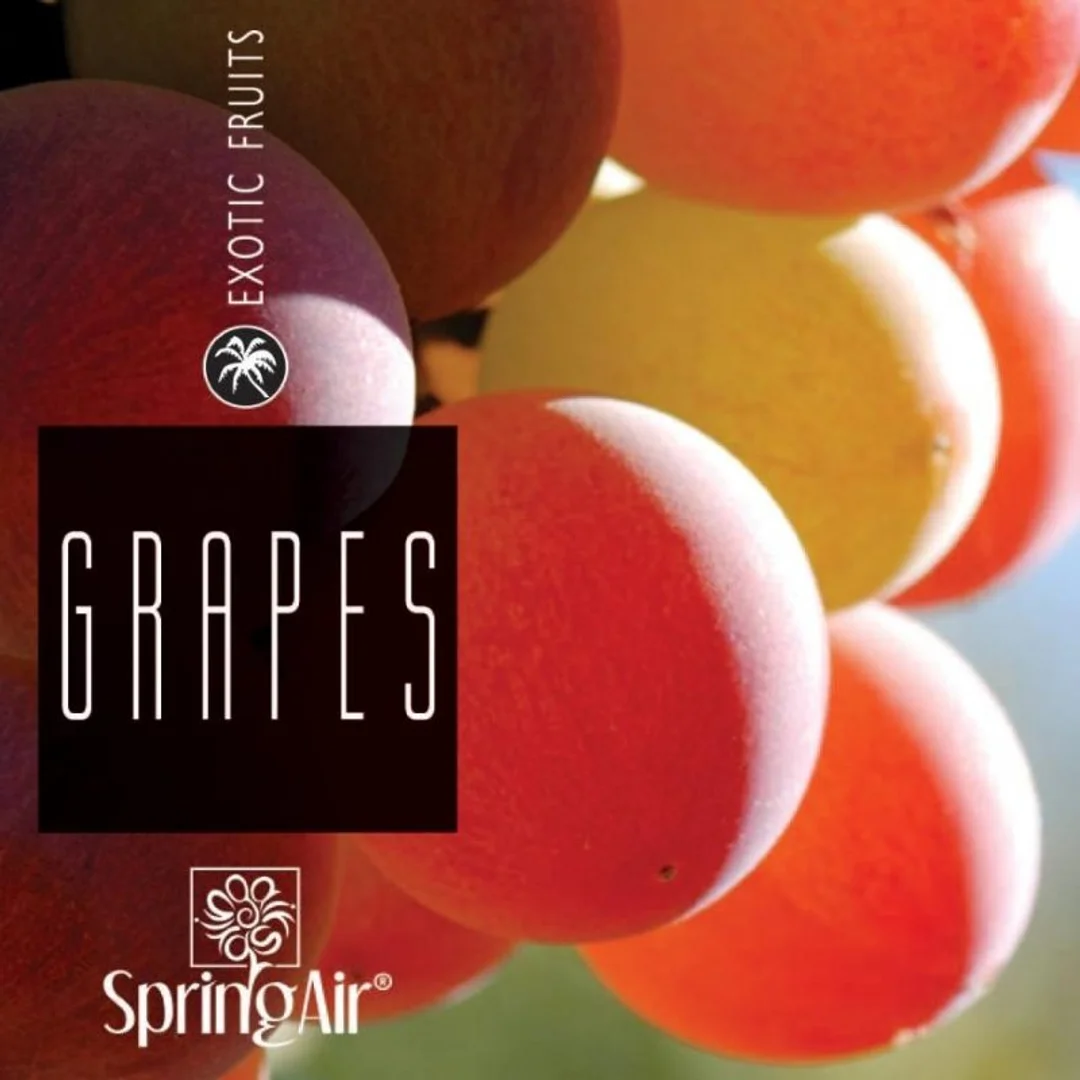 SpringAir® – Odświeżacz powietrza Ultra Scent, 500 ml – Grapes — zdjęcie 2