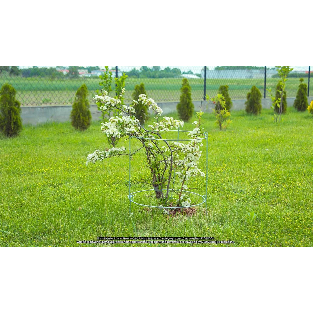 Podpora do roślin koła x2 "60" [2384], ELGarden — zdjęcie 2