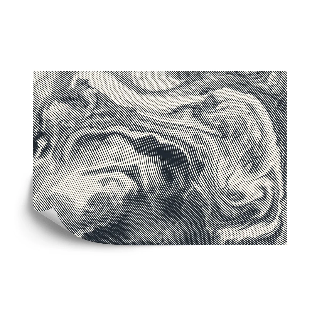 Fototapeta Abstract Halftone Background, Retro Engraving Style. Vinyl Gładki 270x180