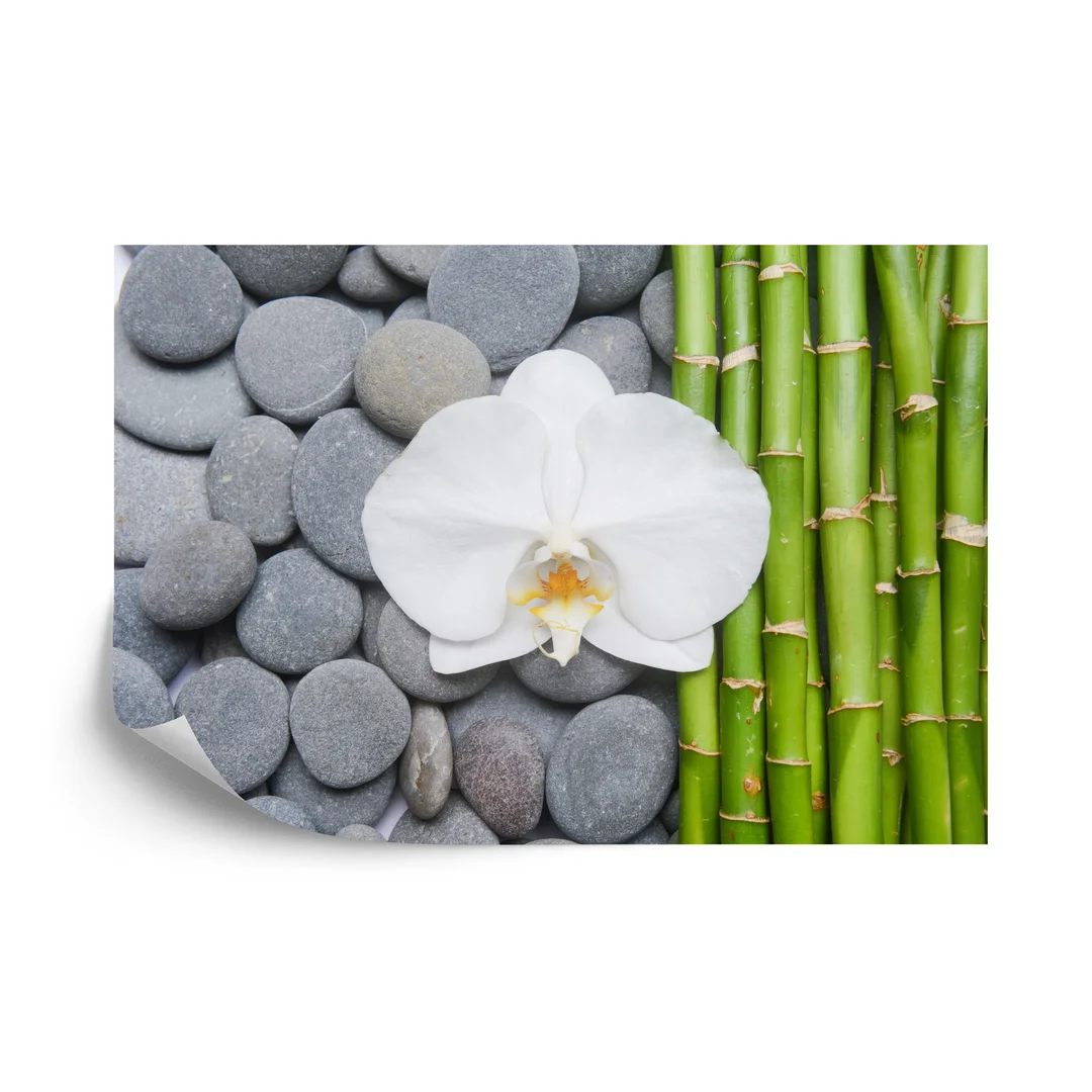 Fototapeta Bambusy Z Kamieniami I Orchideą Flizelina 270x180