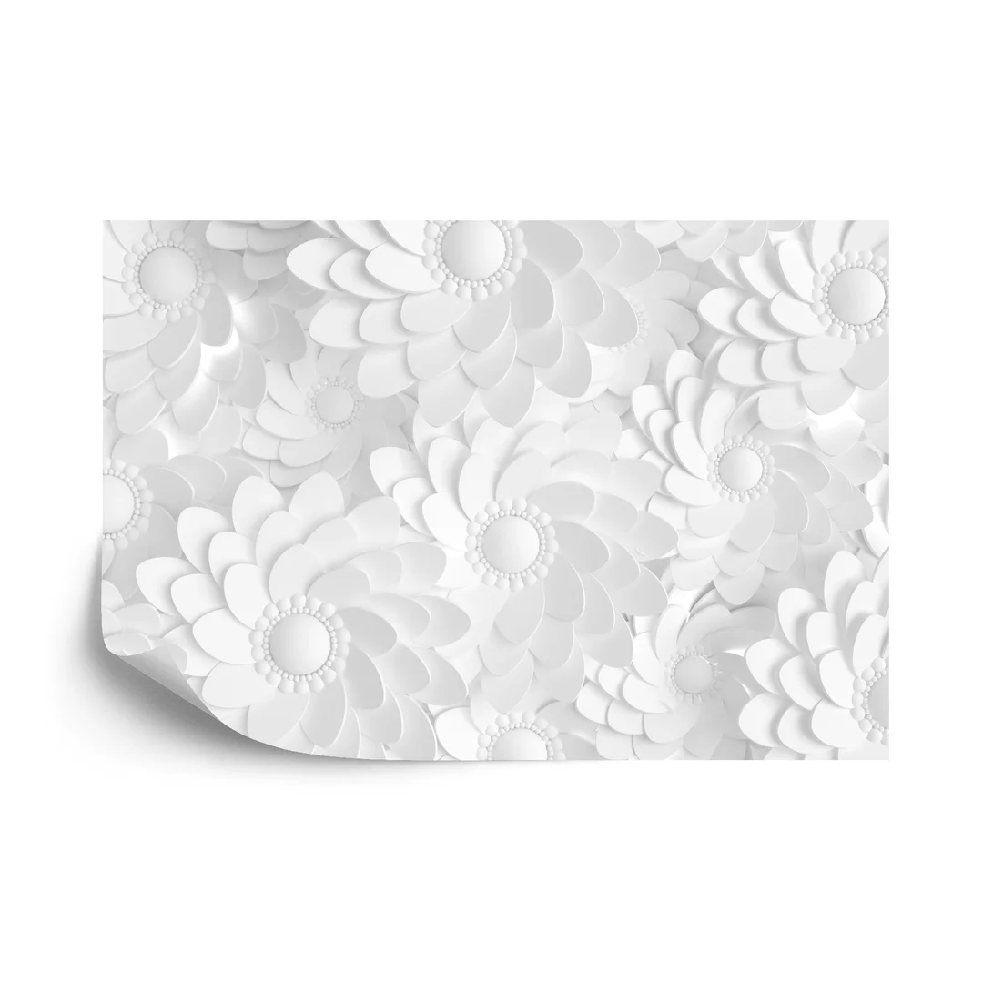 Fototapeta Beautiful, Elegant Paper Flower In The Style Of Hand-Made On A White Wall. 3D , 3D Rendering. Vinyl Gładki 270x180
