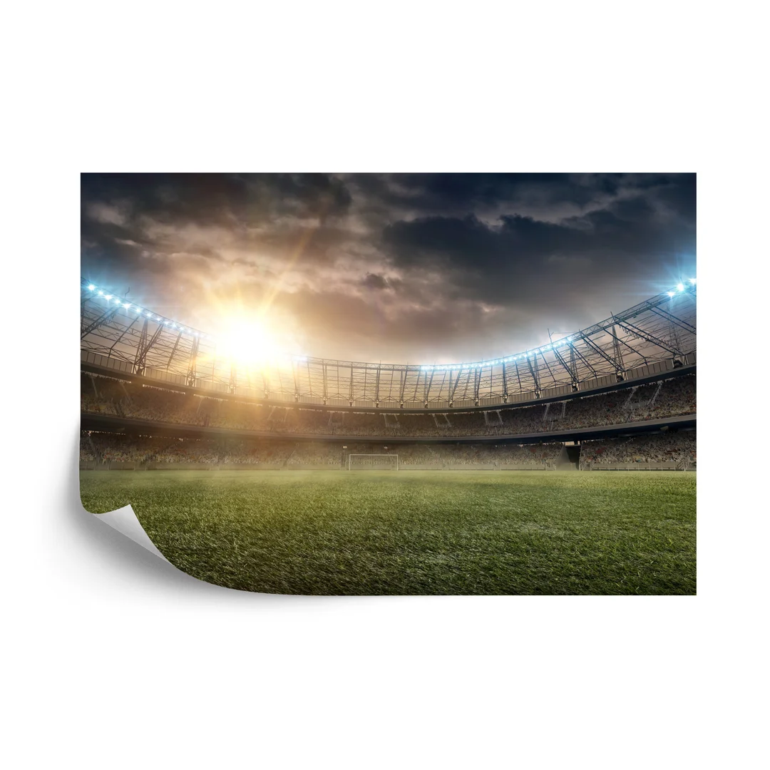 Fototapeta Boisko Stadion Piłka Nożna Flizelina 270x180