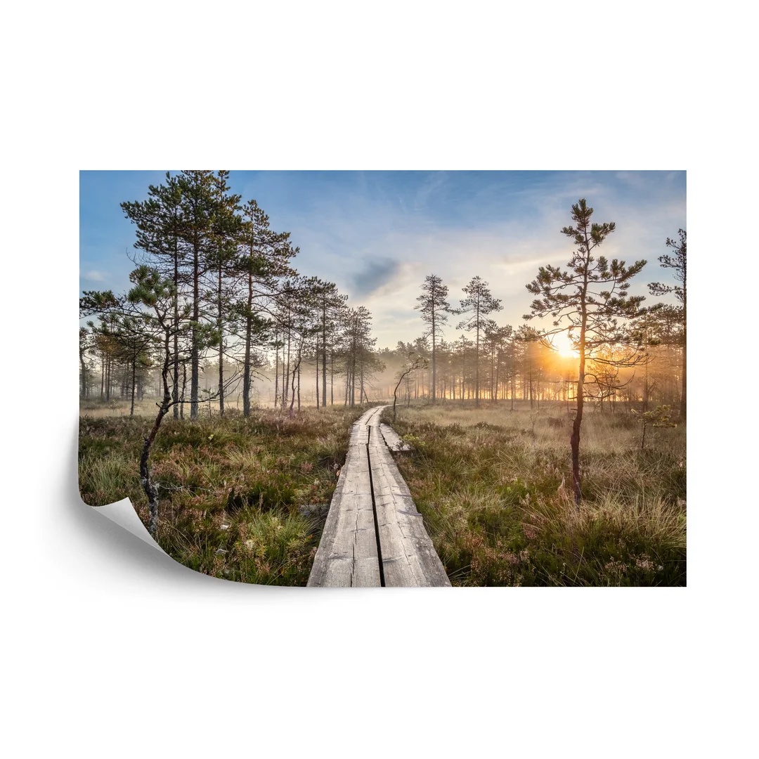 Fototapeta Drewniana Ścieżka W Lesie Flizelina 270x180