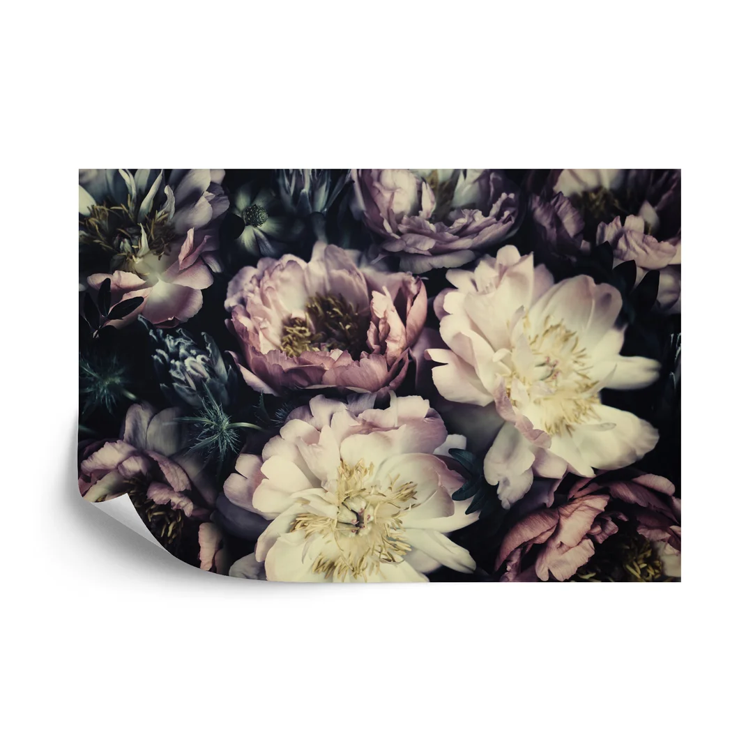 Fototapeta Kolorowe Piwonie Vintage Vinyl Gładki 270x180