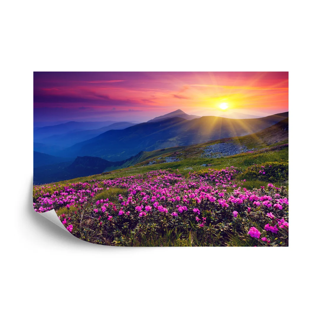 Fototapeta Kwiaty Vinyl Gładki 270x180