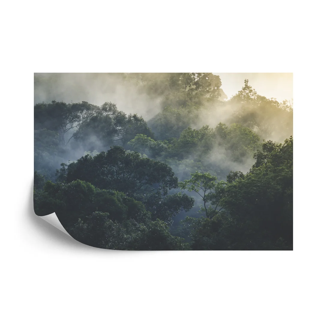 Fototapeta Landscape Of Asia Tropical Rainforest, Canopy Tree Of Jungle Green Forest Park Outdoor, Nature Environment Mountain View, Concept Of Freedom Relaxation In Holiday For Spa Yoga And Retreat Vinyl Gładki 270x180