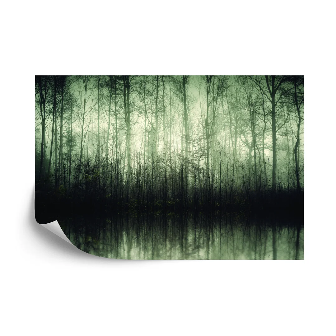 Fototapeta Las Drzewa Woda Vinyl Gładki 270x180