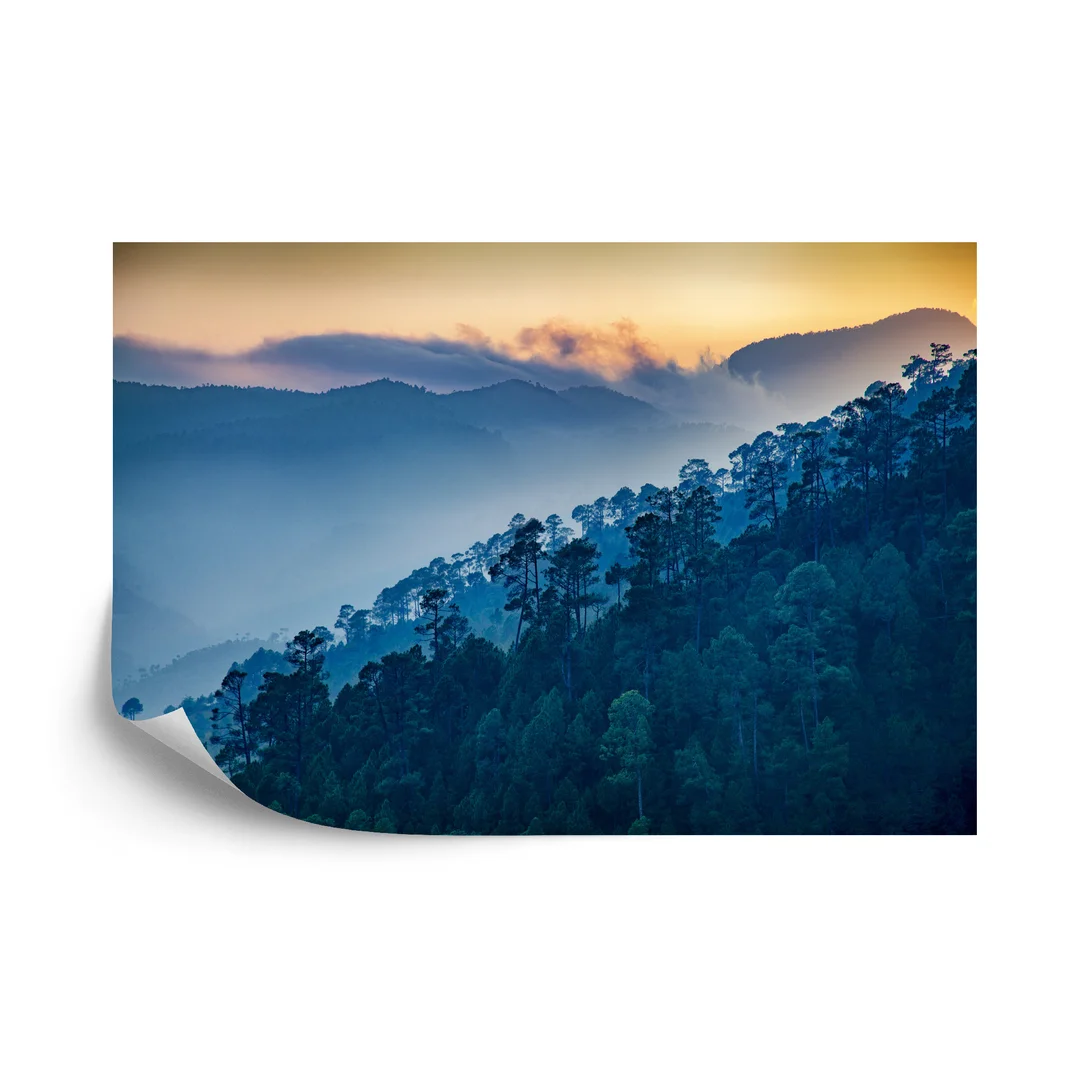 Fototapeta Las Góry Flizelina 270x180
