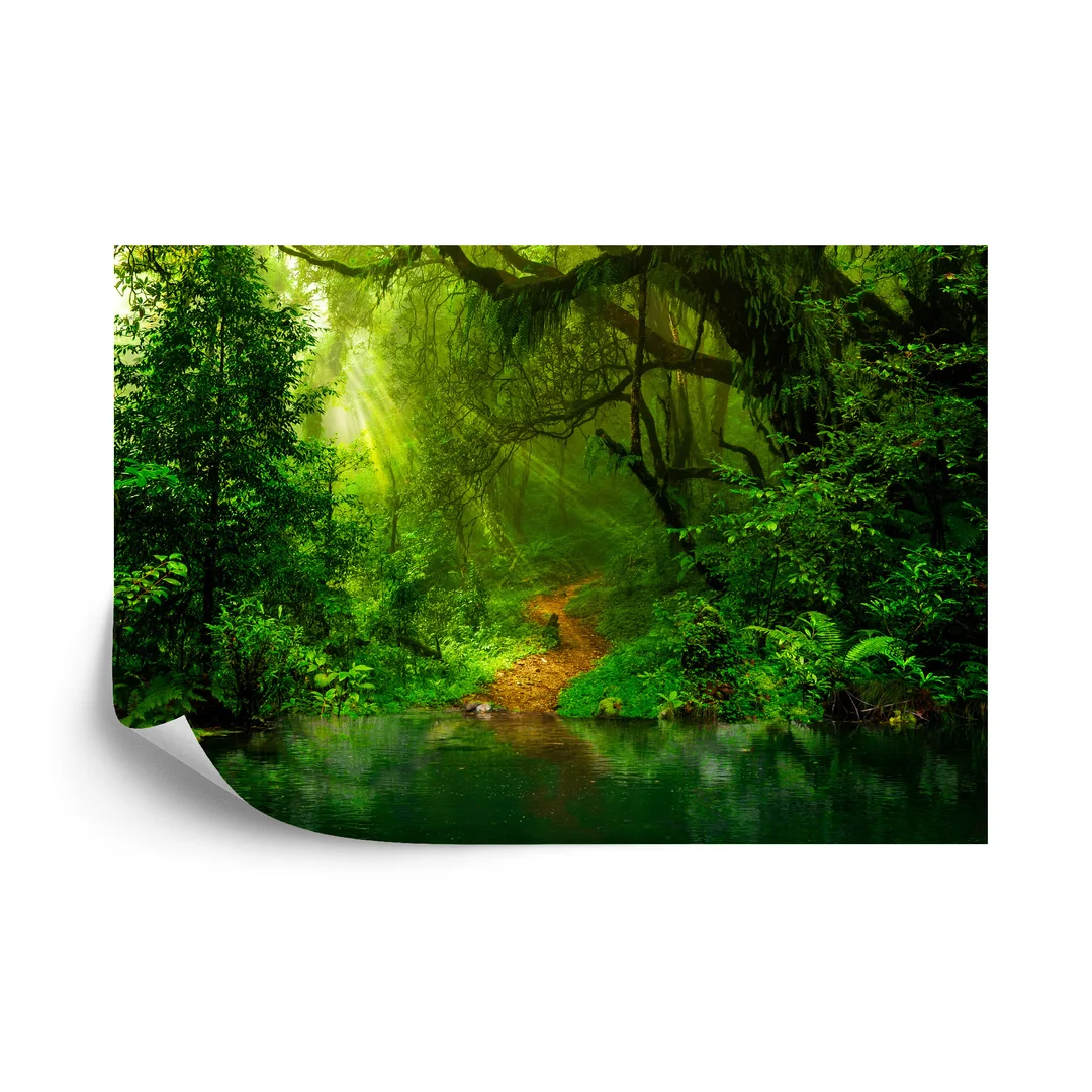 Fototapeta Las Vinyl Gładki 270x180