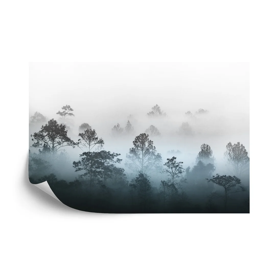 Fototapeta Las We Mgle Vinyl Gładki 270x180