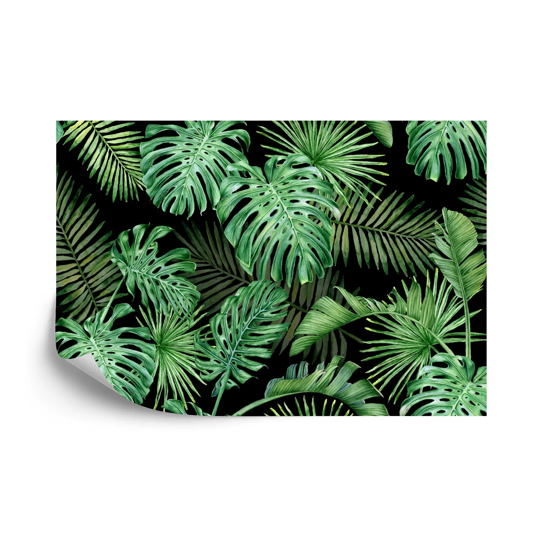 Fototapeta Liście Monstera Flizelina Zmywalna 270x180