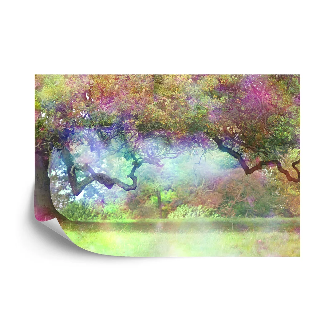 Fototapeta Magiczny Kolorowy Las Vinyl Gładki 270x180