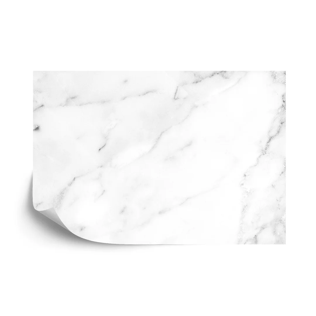 Fototapeta Marble Granite White Background Wall Surface Black Pattern Graphic Abstract Light Elegant Black For Do Floor Ceramic Counter Texture Stone Slab Smooth Tile Gray Silver Natural For Interior Decoration. Vinyl Gładki 270x180