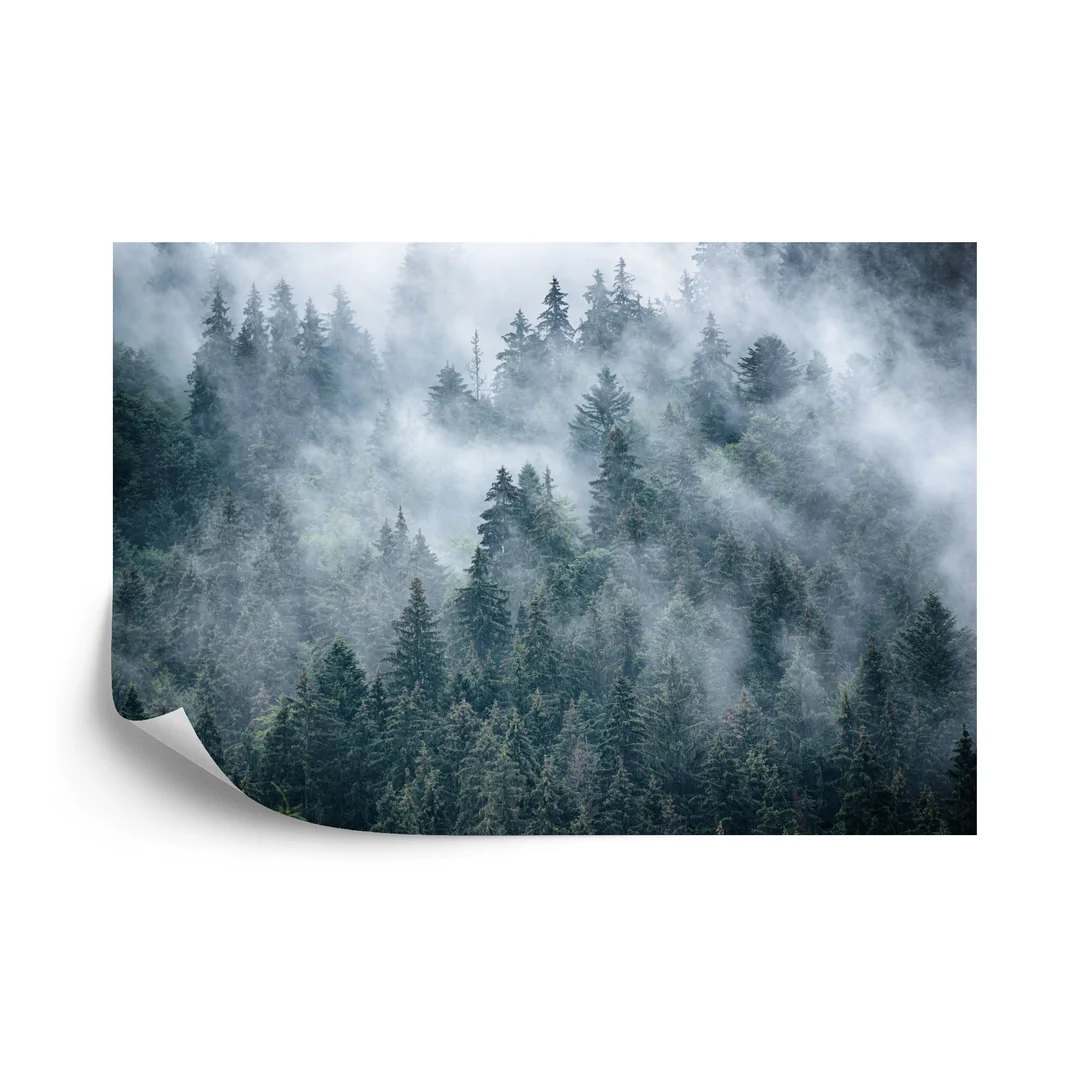 Fototapeta Mglisty Las W Górach Flizelina 270x180