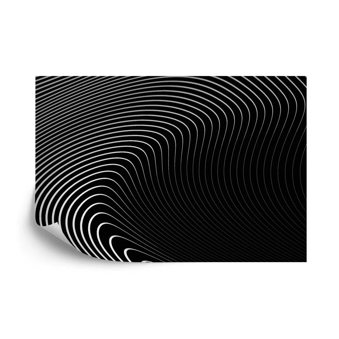 Fototapeta Of The Gray Pattern Of Lines . Eps10. Vinyl Gładki 270x180