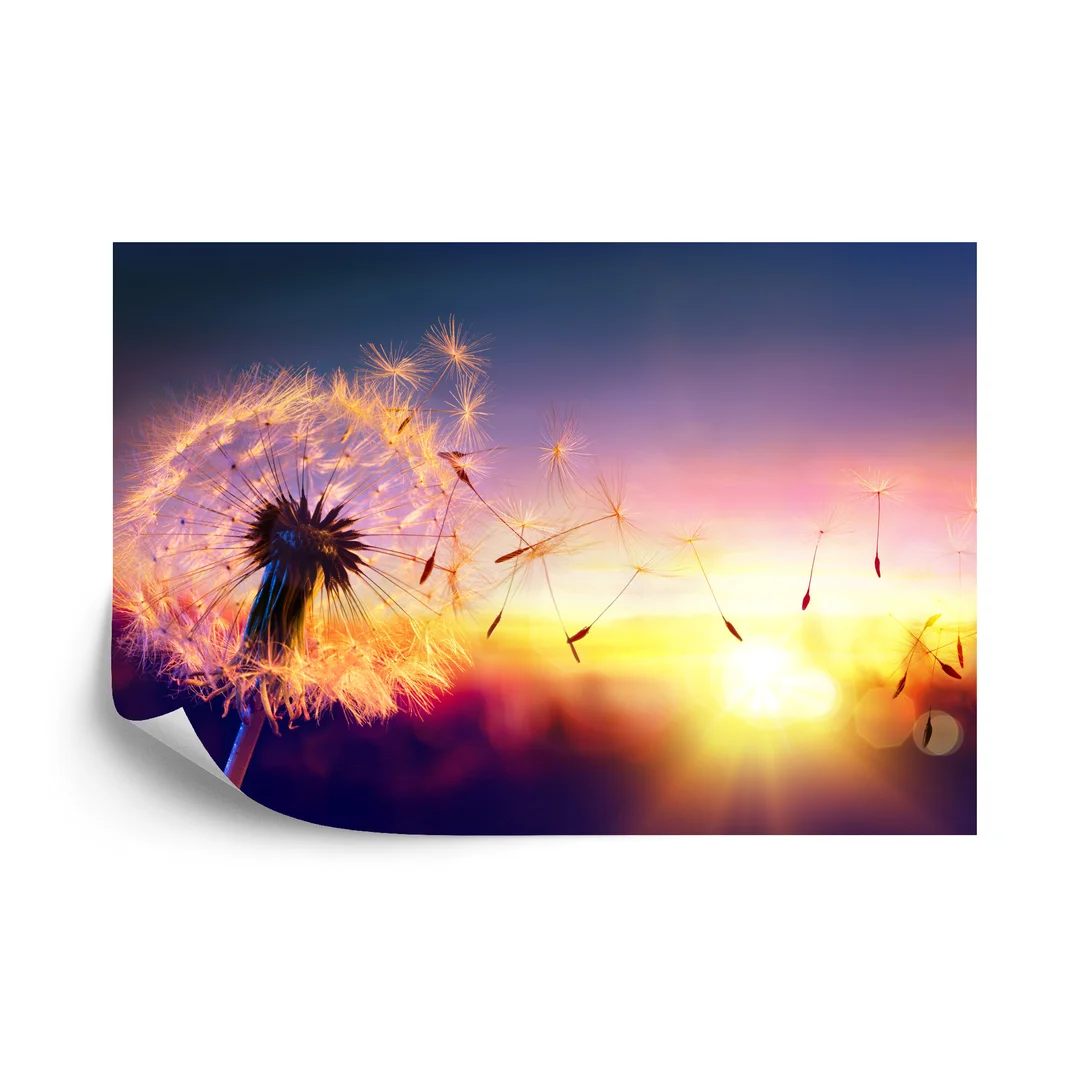 Fototapeta Optyczna Dmuchawiec Vinyl Gładki 270x180