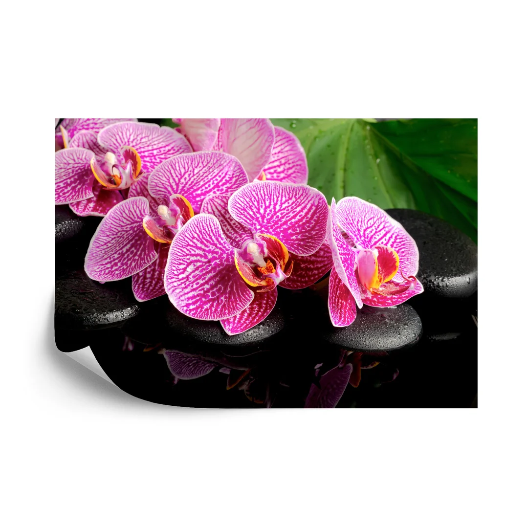 Fototapeta Orchidea Spa Vinyl Gładki 254x184