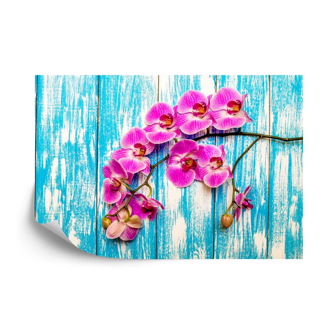 Fototapeta Orchidee Na Tle Desek Vinyl Gładki 270x180