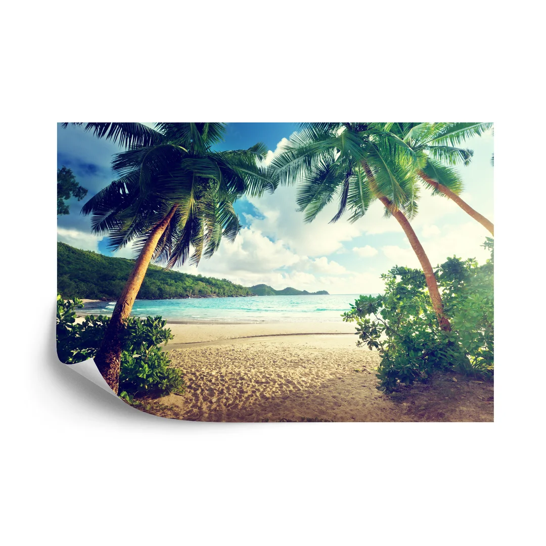 Fototapeta Palmy Na Seszelach Vinyl Gładki 270x180