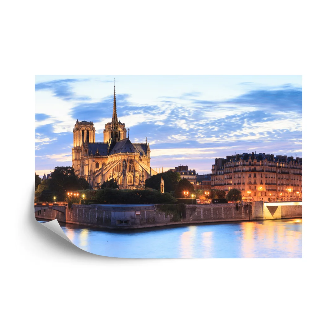 Fototapeta Paryż - Notre Dame Flizelina 270x180