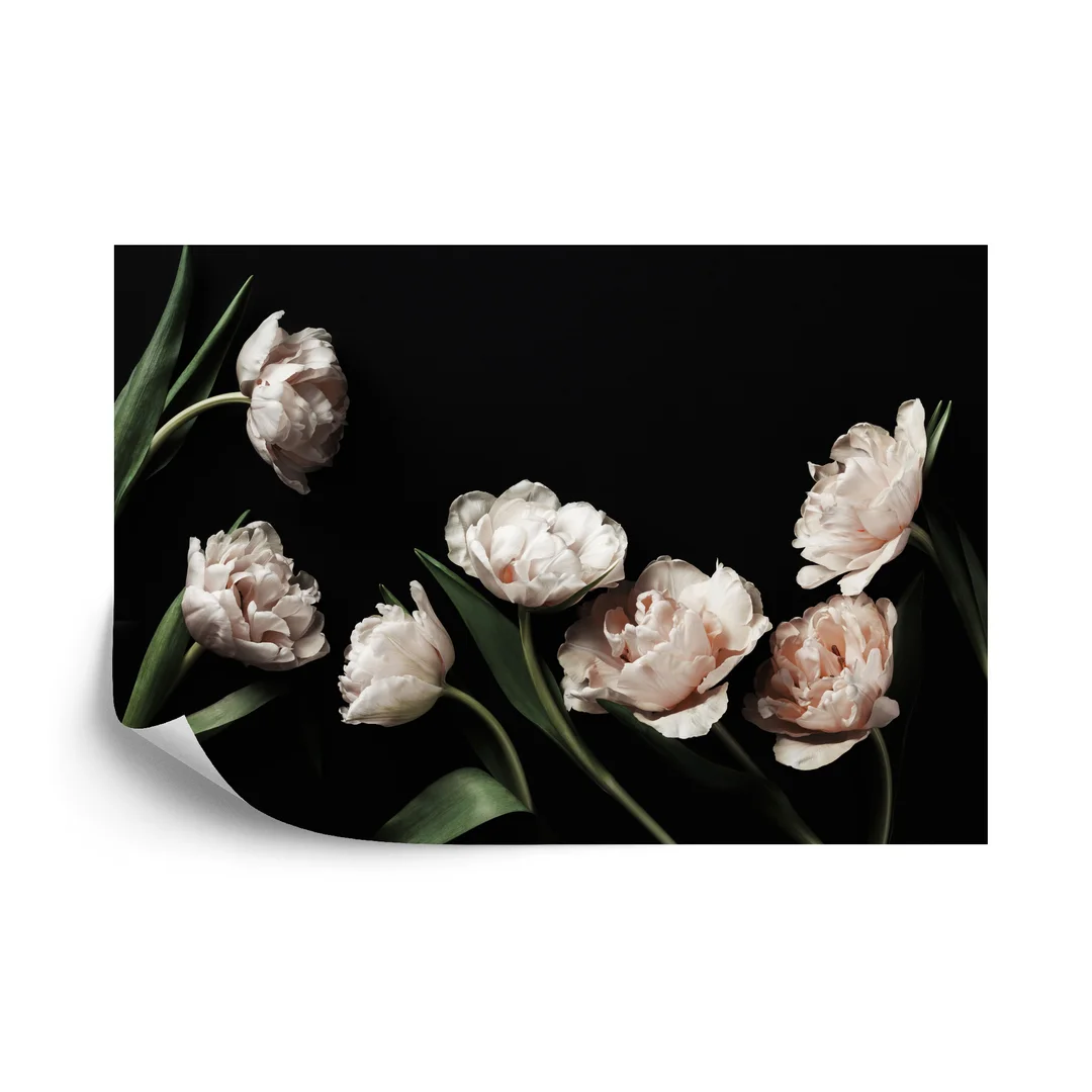 Fototapeta Peonie I Zielone Liście Flizelina 270x180