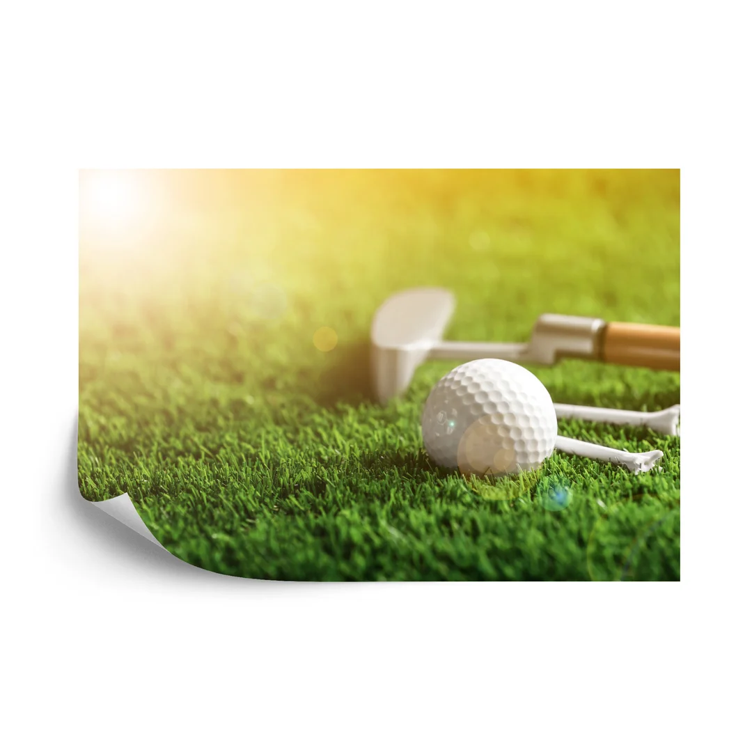 Fototapeta Piłka Golfowa Na Flizelina 270x180