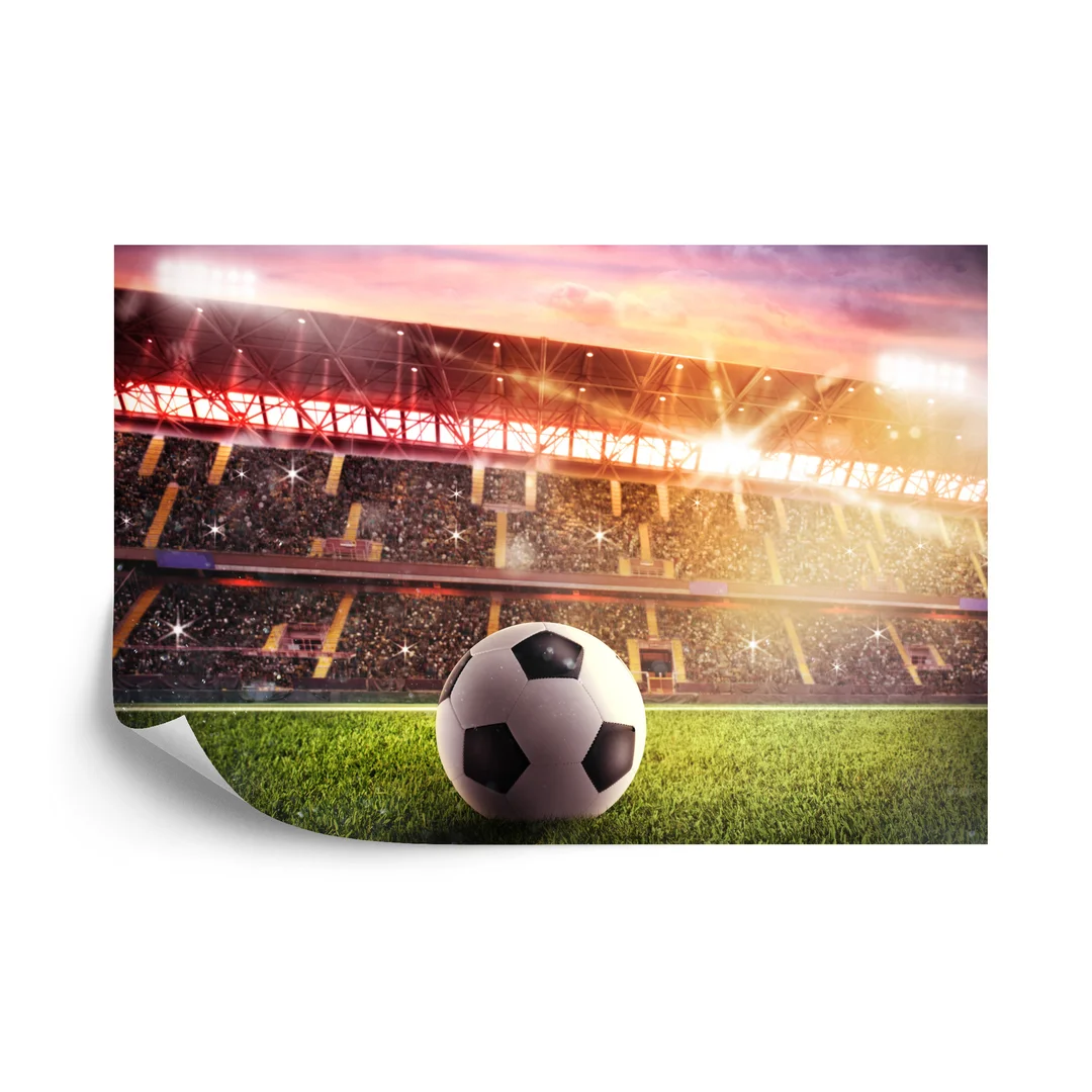 Fototapeta Piłka Nożna Na Stadionie Flizelina 270x180