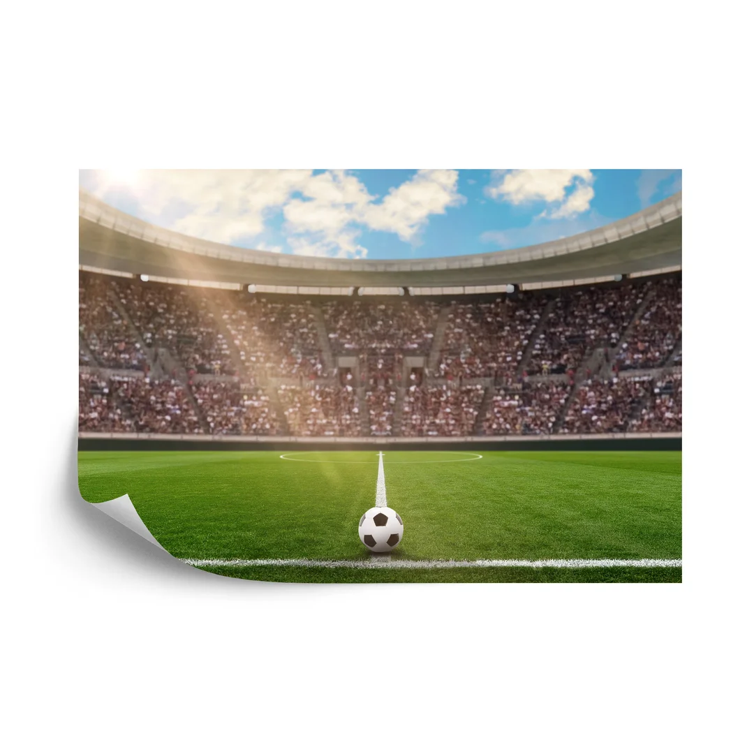 Fototapeta Piłka Nożna Stadion Flizelina 270x180
