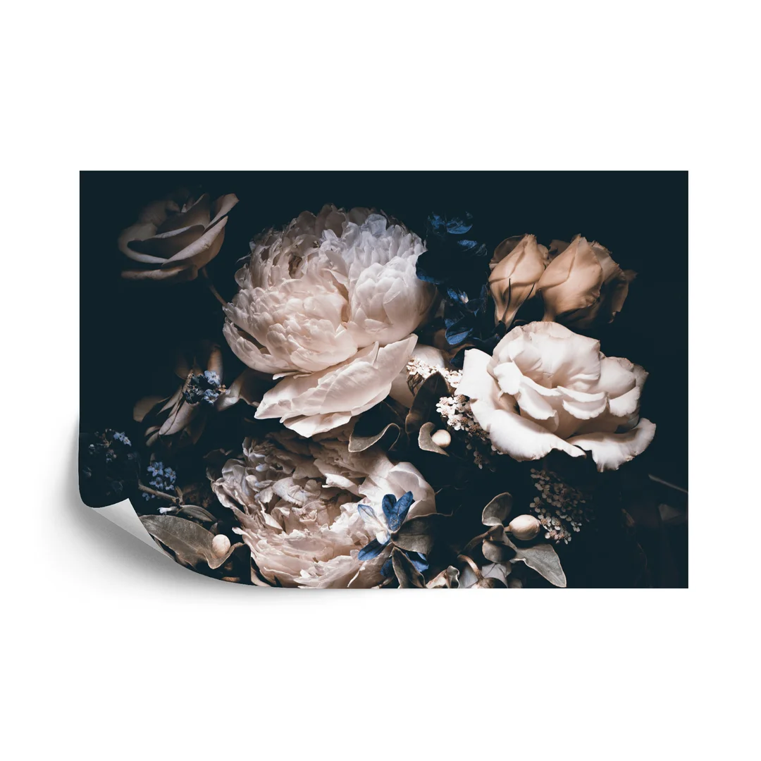 Fototapeta Piwonie W Ciemnej Odsłonie Flizelina 270x180