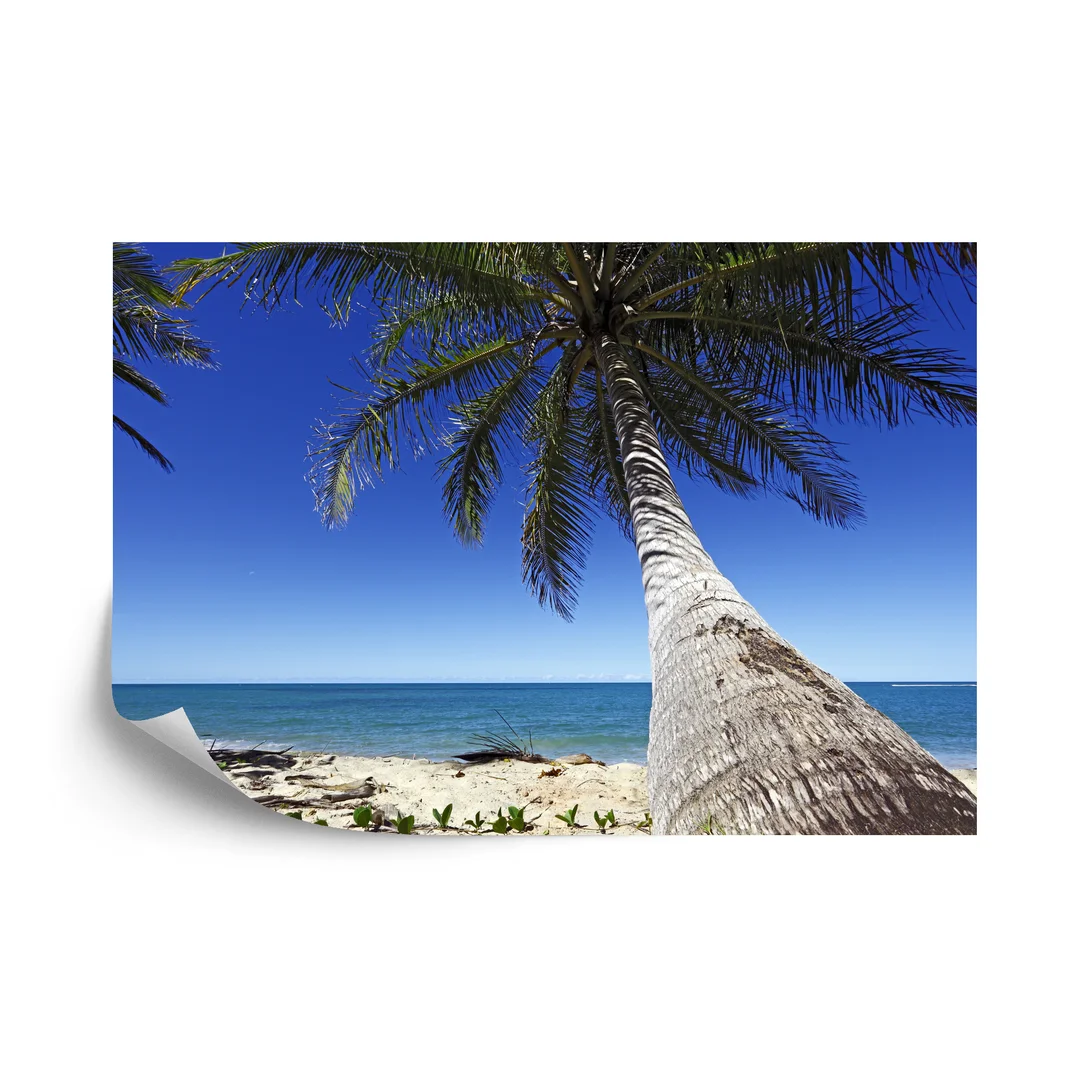 Fototapeta Plaża Ocean Palmy Vinyl Strukturalny 254x184