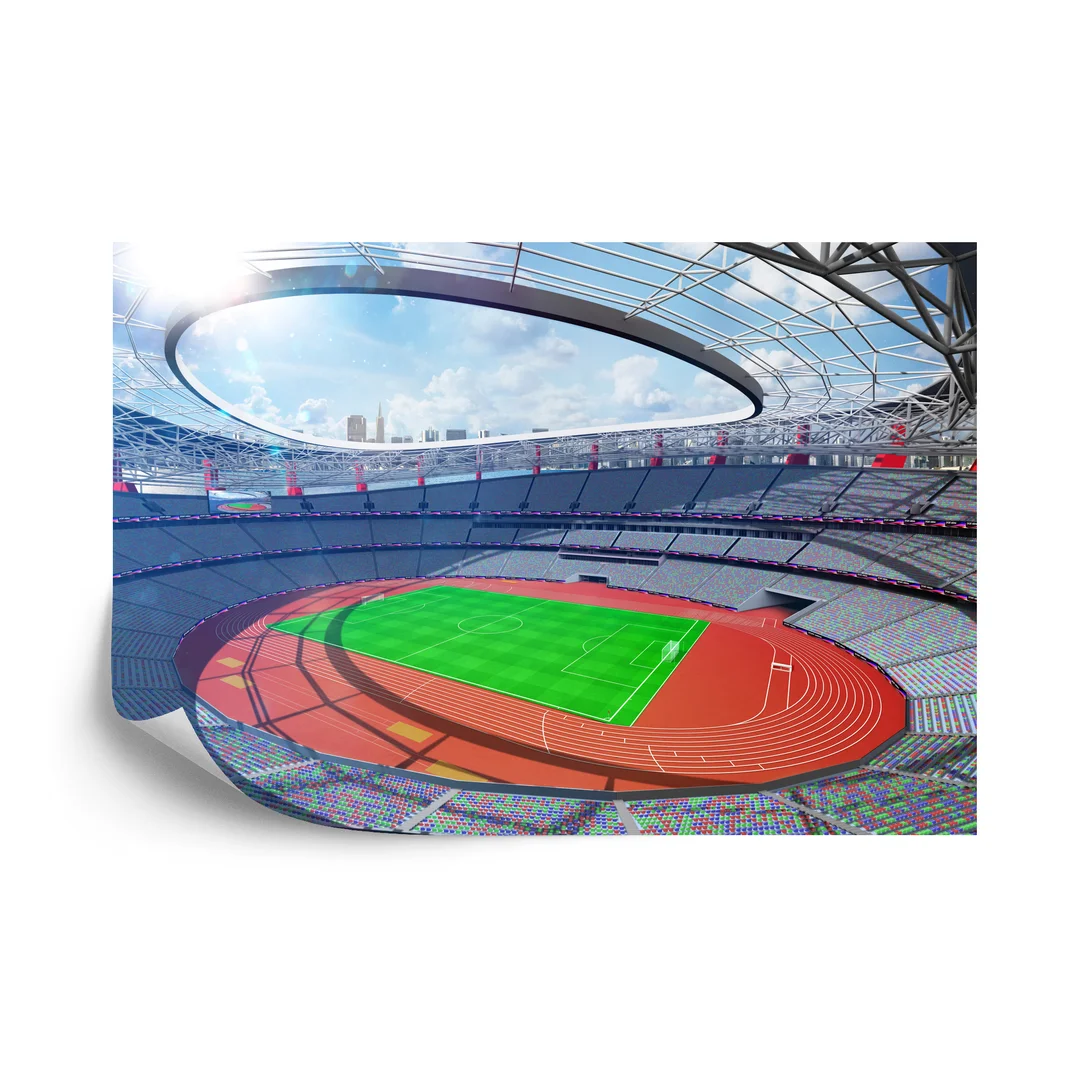 Fototapeta Stadion Piłka Nożna Flizelina 270x180