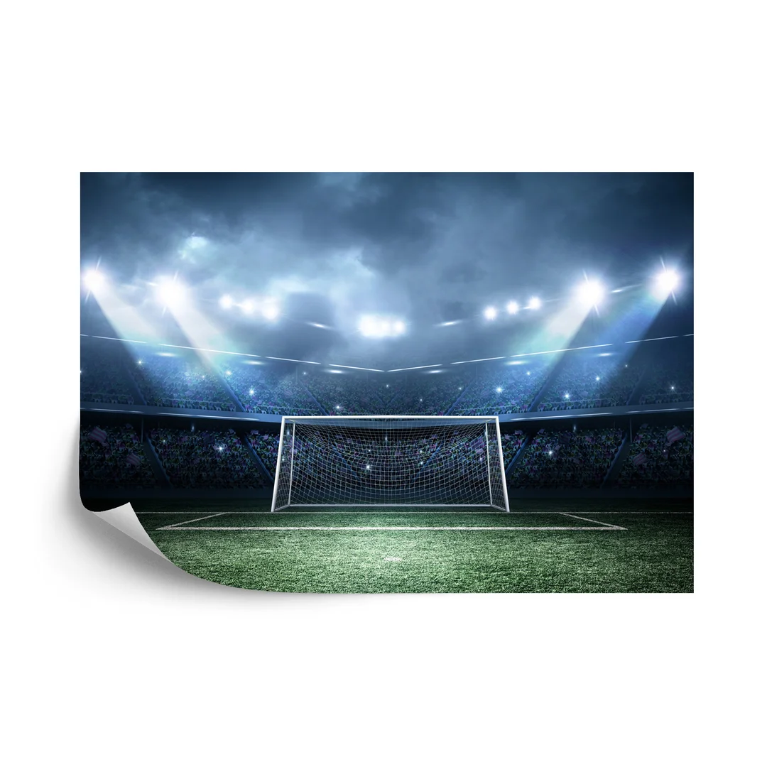 Fototapeta Stadion Piłkarski Boisko Flizelina 270x180