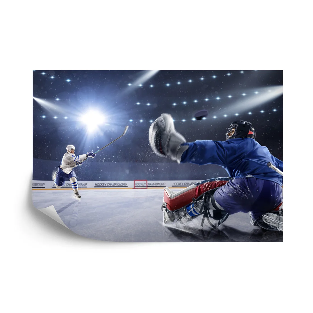 Fototapeta Strzał Hokeisty Flizelina 270x180