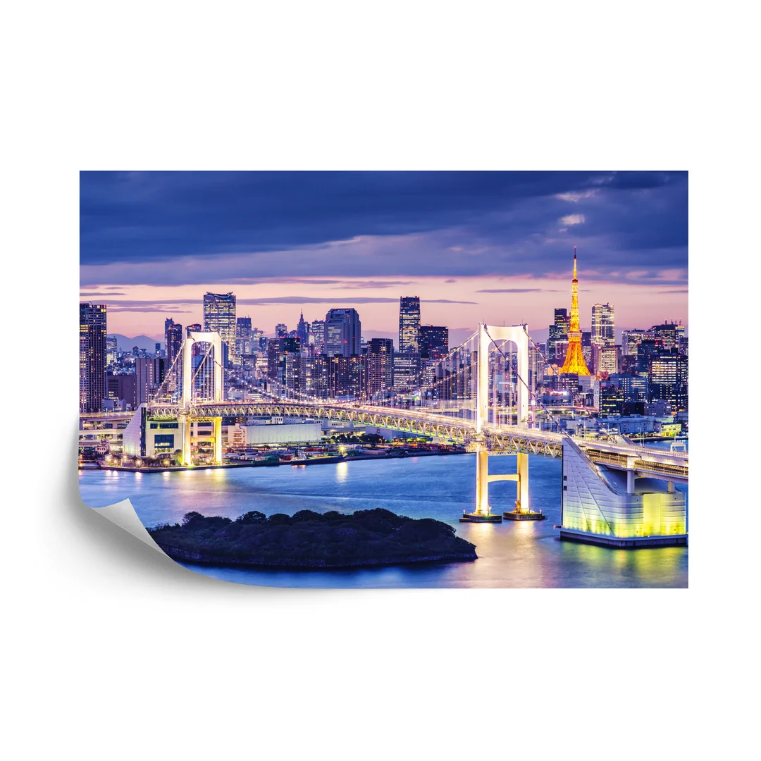 Fototapeta Tęczowy Most W Tokio Flizelina 270x180