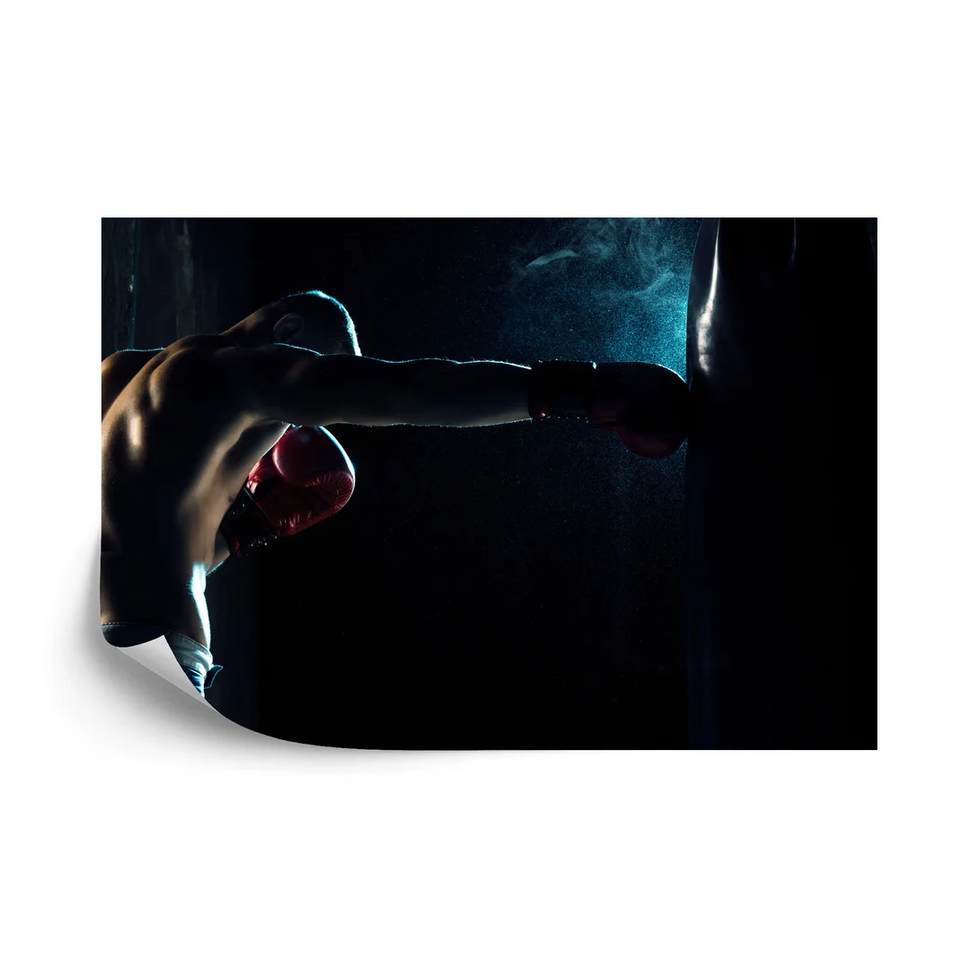 Fototapeta Trenujący Bokser W Cieniu Flizelina 270x180