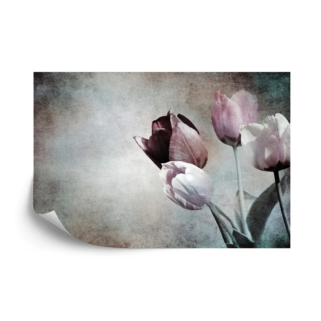 Fototapeta Tulipany W Stylu Vintage Vinyl Gładki 270x180