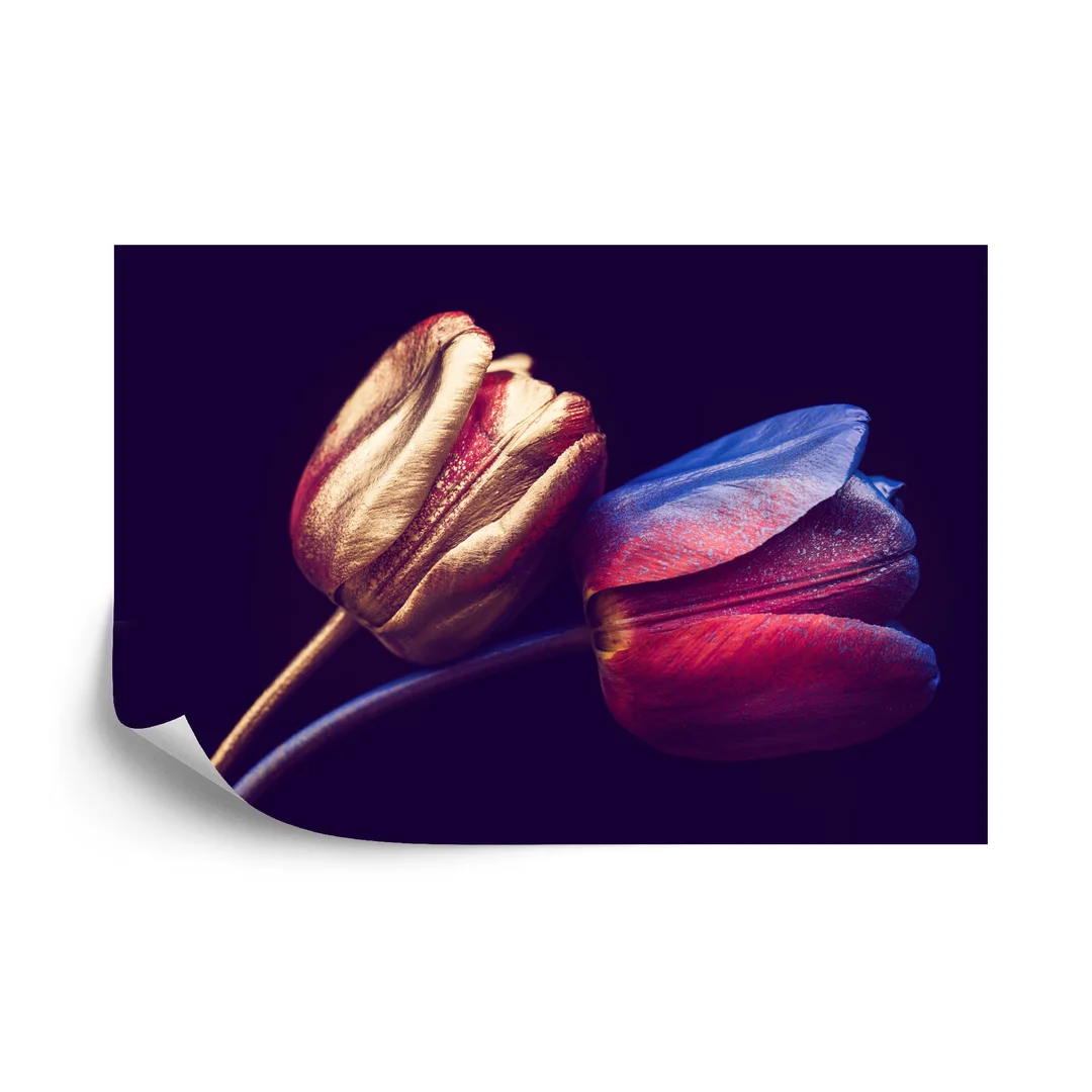 Fototapeta Tulipany Ze Złotymi Elementami Flizelina 270x180