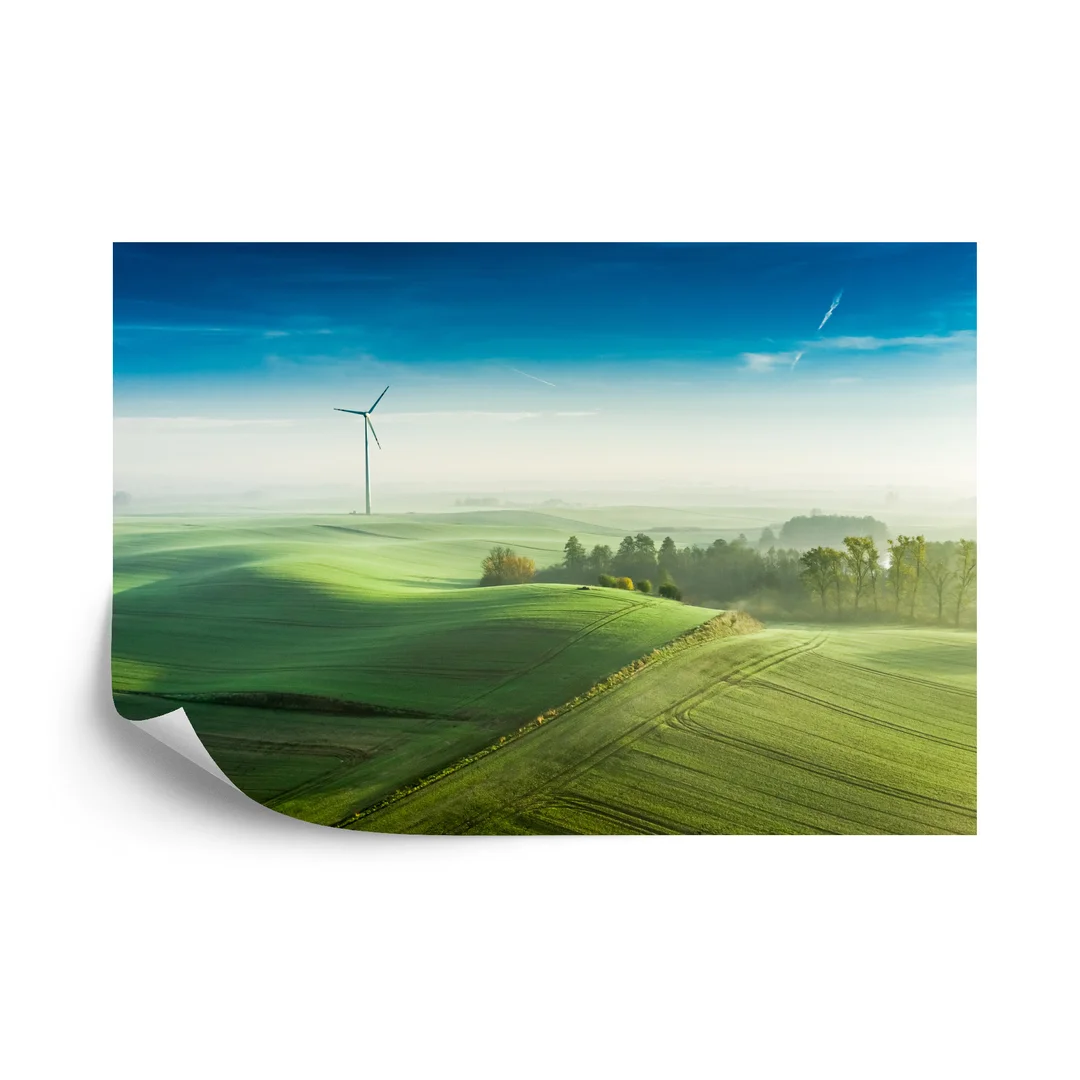 Fototapeta Widok Z Lotu Ptaka Na Zielone Pola 3D Vinyl Gładki 270x180