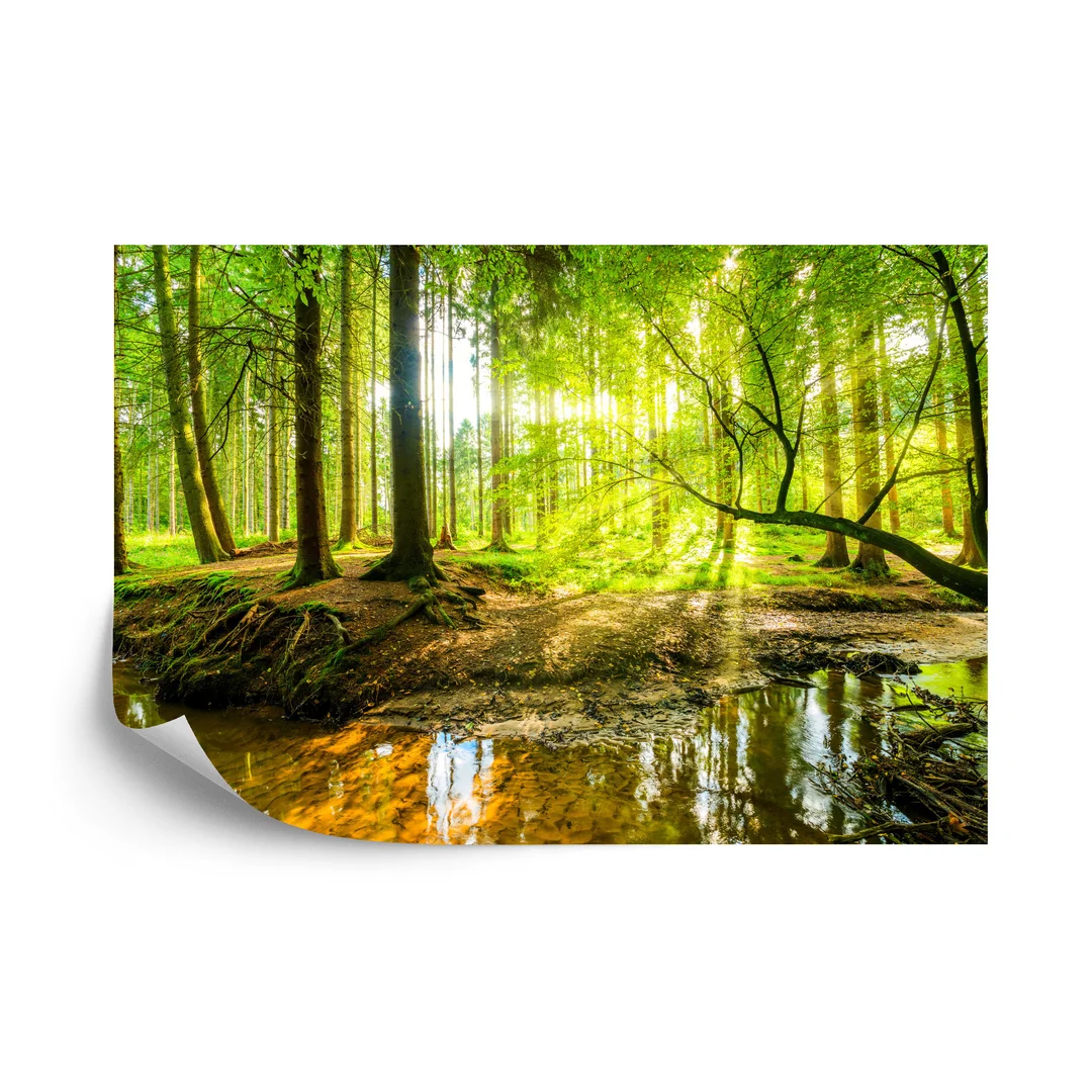 Fototapeta Wiosną W Efekcie 3D Flizelina 270x180