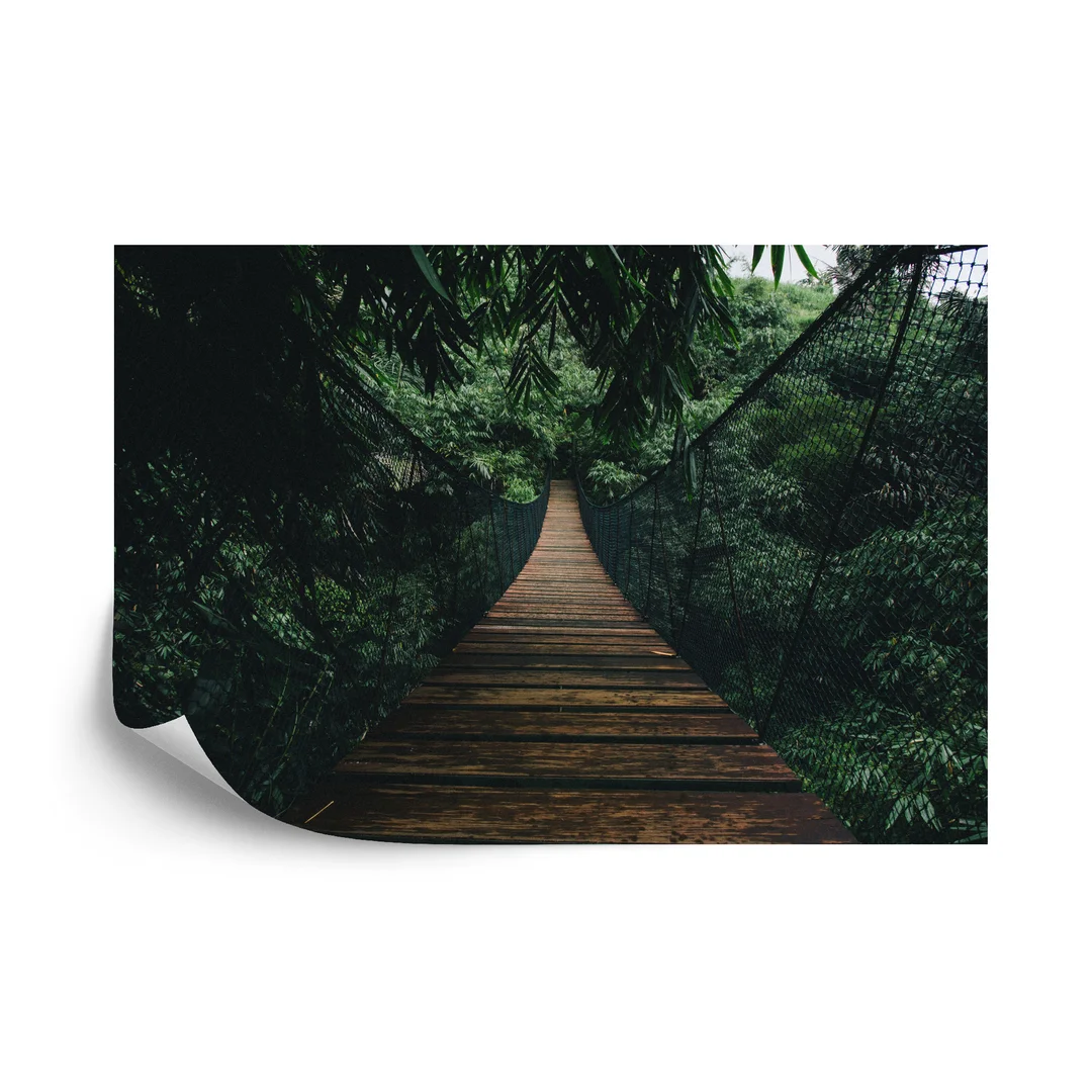 Fototapeta Wiszący Most W Lesie Flizelina 270x180