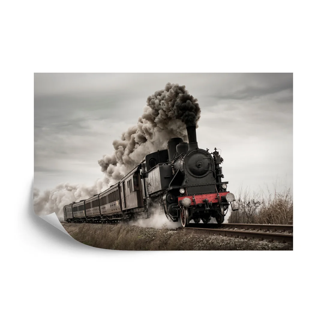 Fototapeta Zabytkowa Lokomotywa W Ruchu Vinyl Gładki 270x180