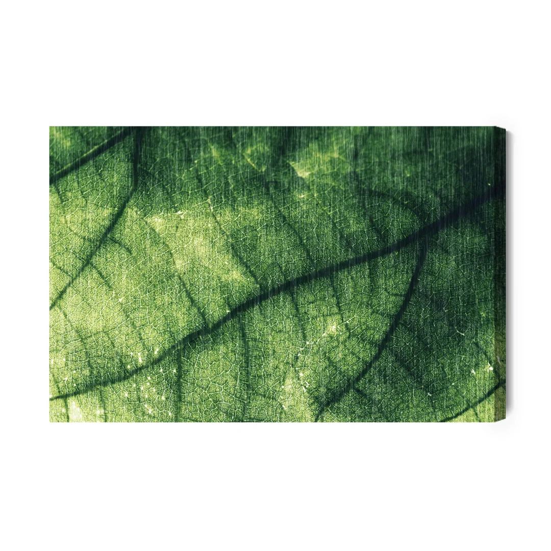 Obraz Na Płótnie Abstrakcyjna Tekstura Liścia Canvas Brak Brak 60x90
