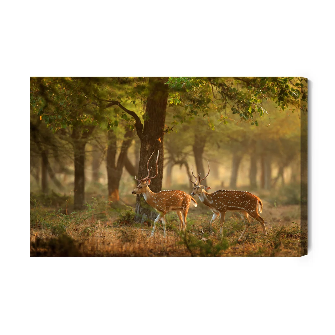 Obraz Na Płótnie Cętkowane Młode Jelenie Canvas Brak Brak 60x90