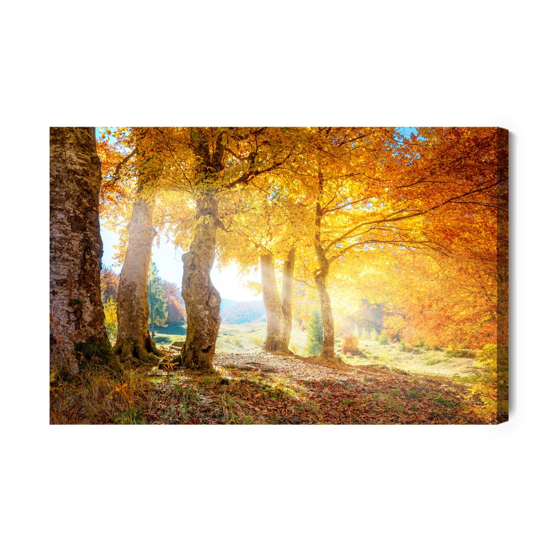 Obraz Na Płótnie Ciepły Jesienny Krajobraz Canvas Brak Brak 60x90