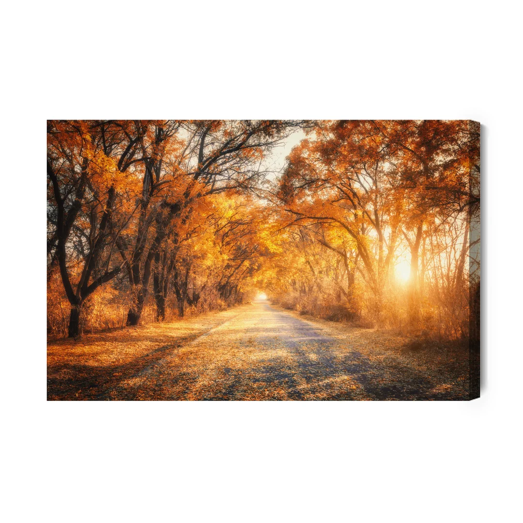 Obraz Na Płótnie Droga W Jesiennym Lesie 3D Canvas Naturalny Brak Brak 70x100