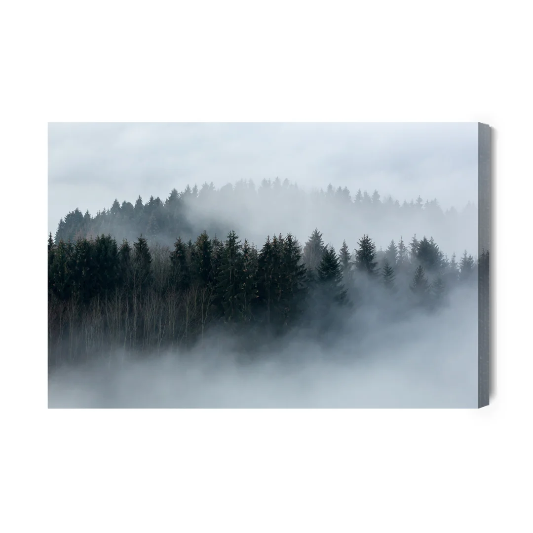 Obraz Na Płótnie Drzewa Owiane Mgłą Canvas Brak Brak 60x90