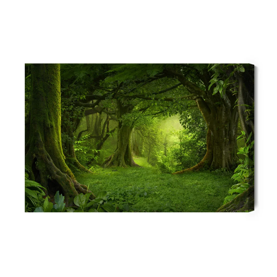 Obraz Na Płótnie Głębia Lasu Canvas Naturalny Brak Brak 70x100