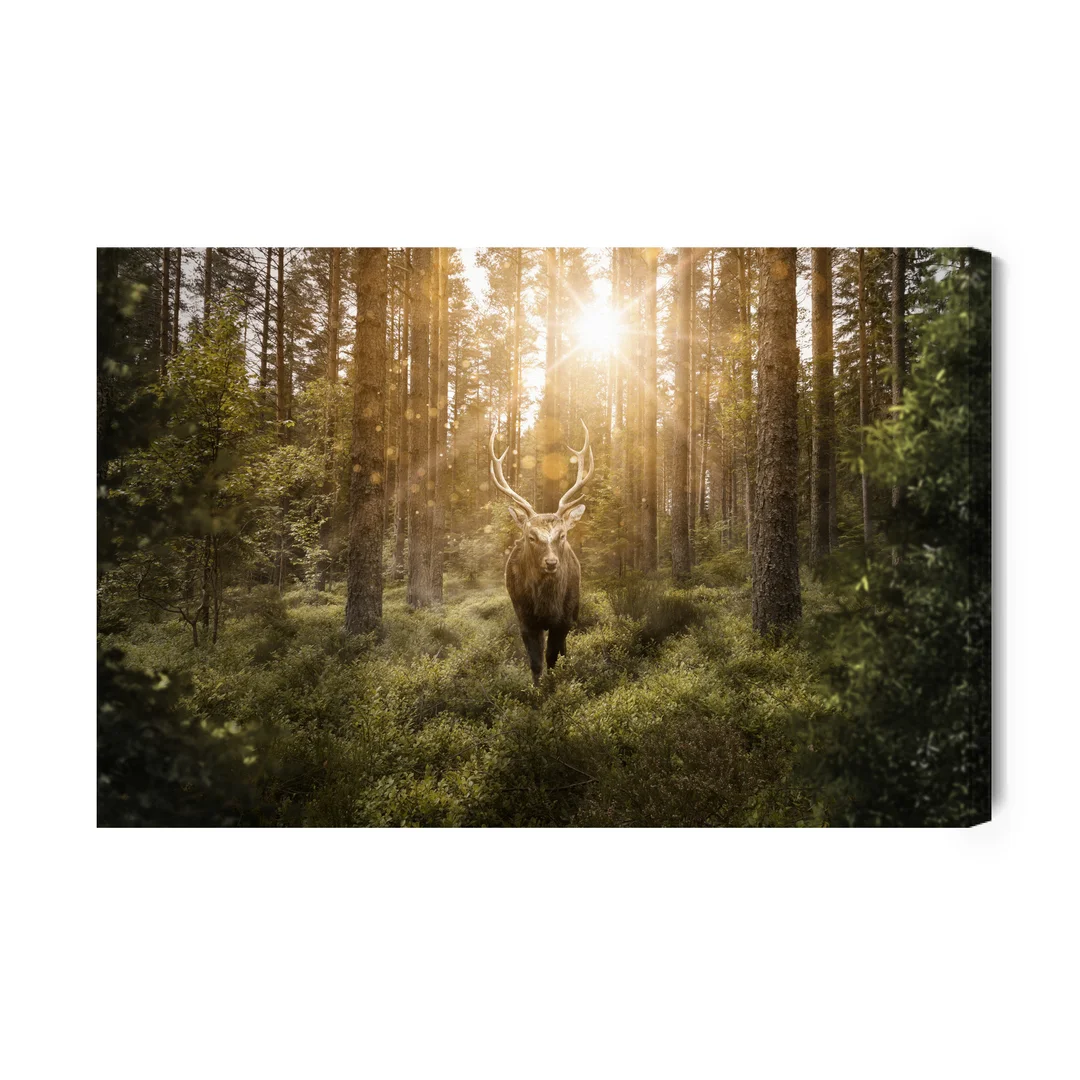Obraz Na Płótnie Jeleń I Promienie Słoneczne Canvas Brak Brak 60x90