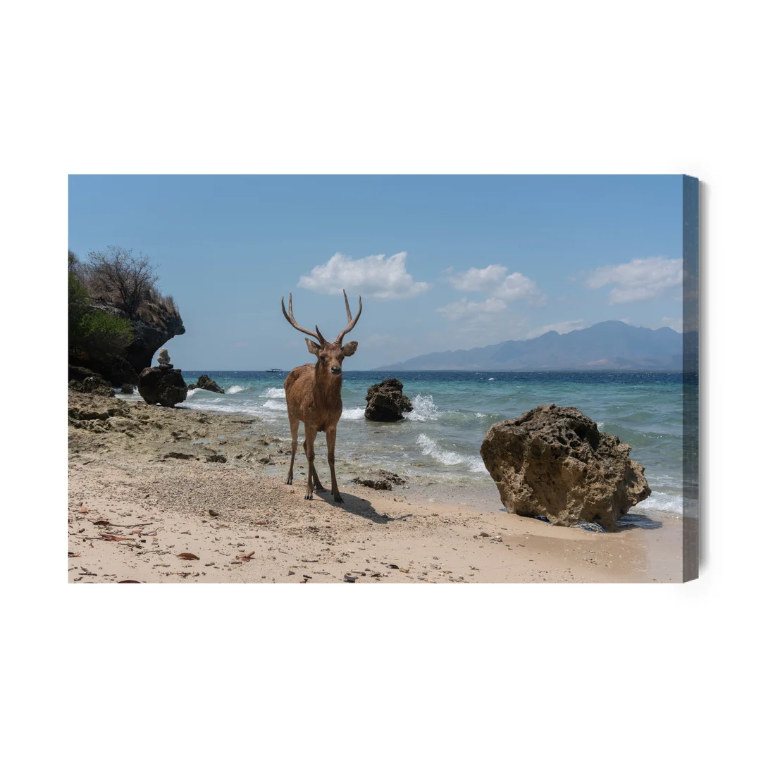Obraz Na Płótnie Jeleń Na Plaży Canvas Brak Brak 60x90