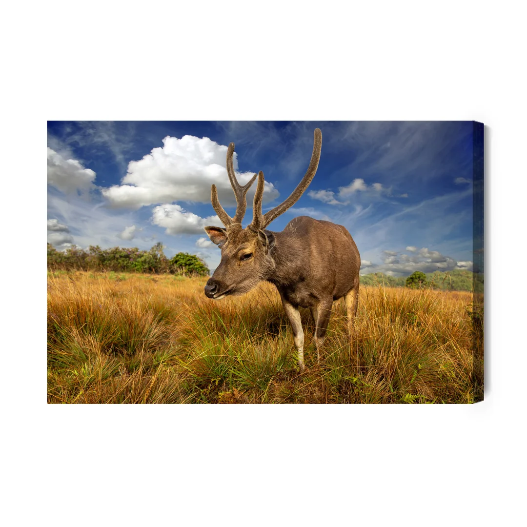 Obraz Na Płótnie Jeleń Na Polanie Canvas Brak Brak 60x90